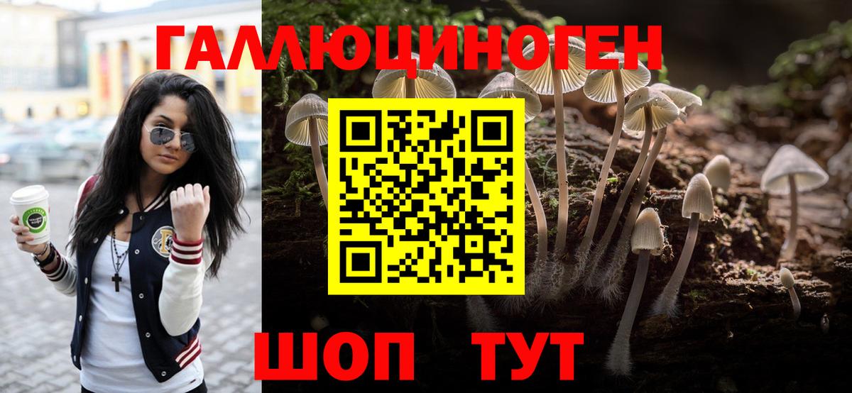 Галлюциногенные грибы прущие грибы  Вход с VPN  Уссурийск 