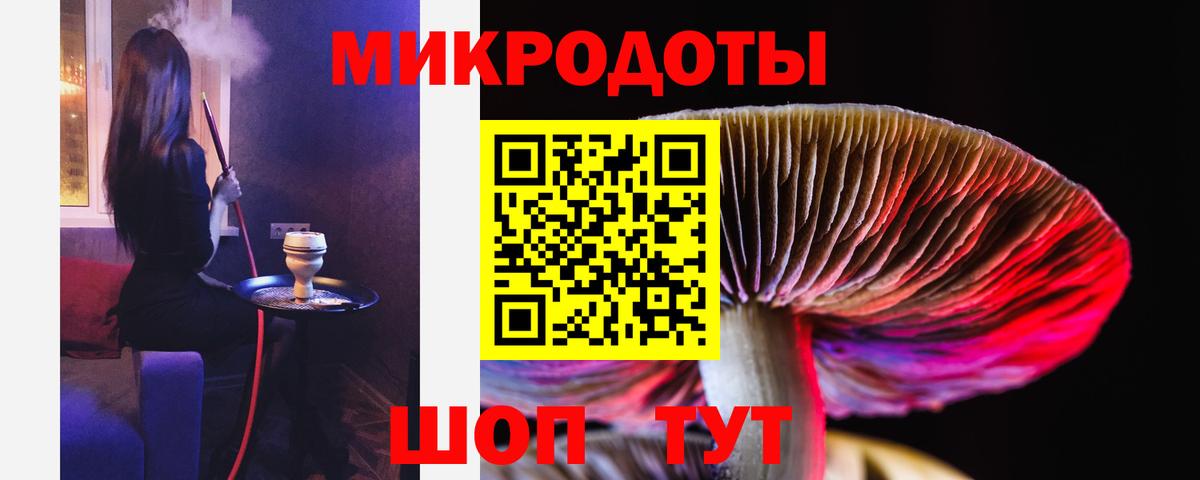 Псилоцибиновые грибы Psilocybine cubensis Уссурийск